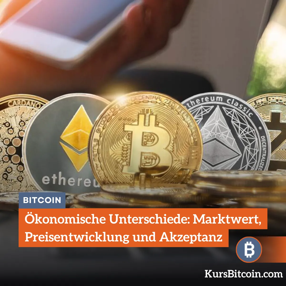 Ökonomische Unterschiede: Marktwert, Preisentwicklung und Akzeptanz