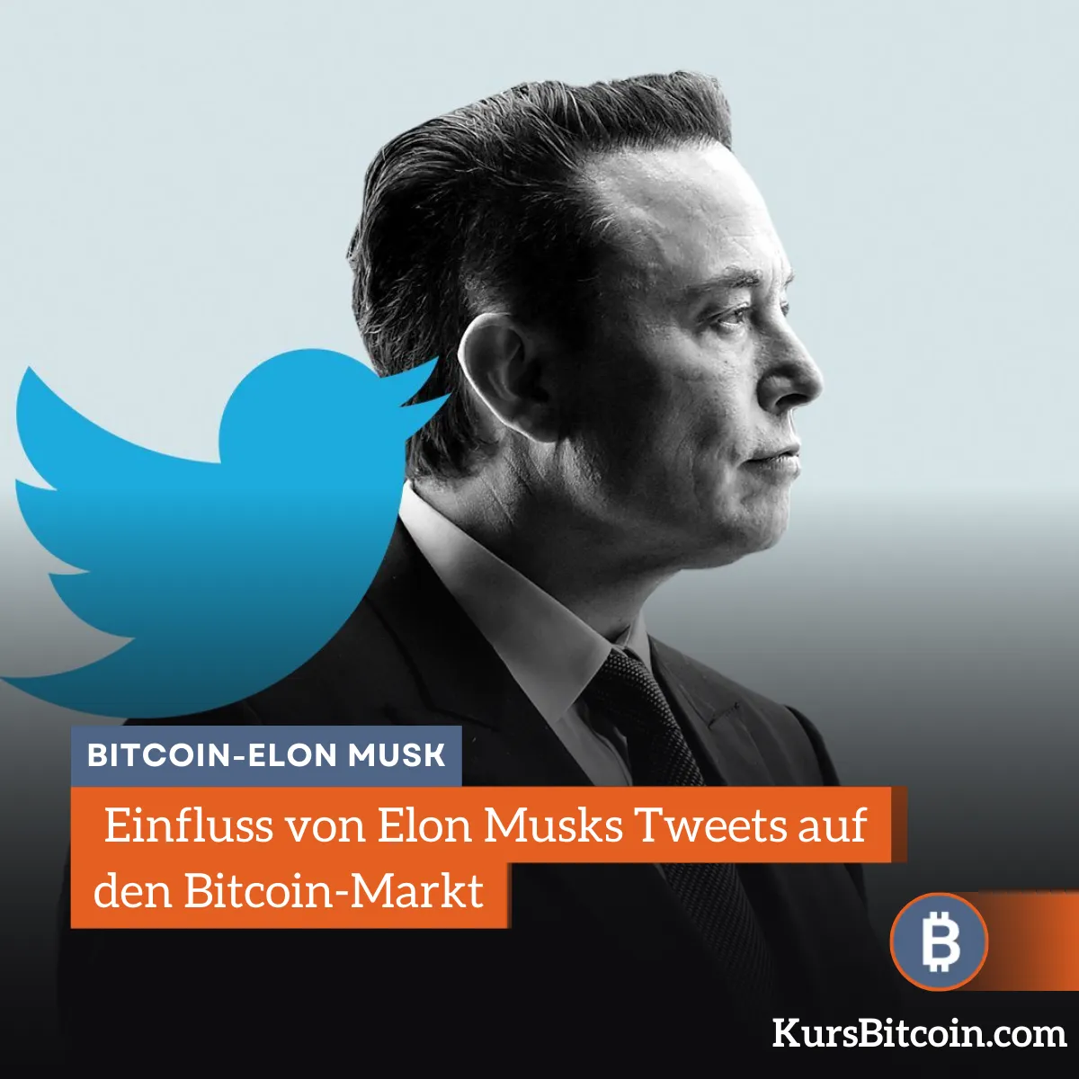 Einfluss von Elon Musks Tweets auf den Bitcoin-Markt 2023 und 2024