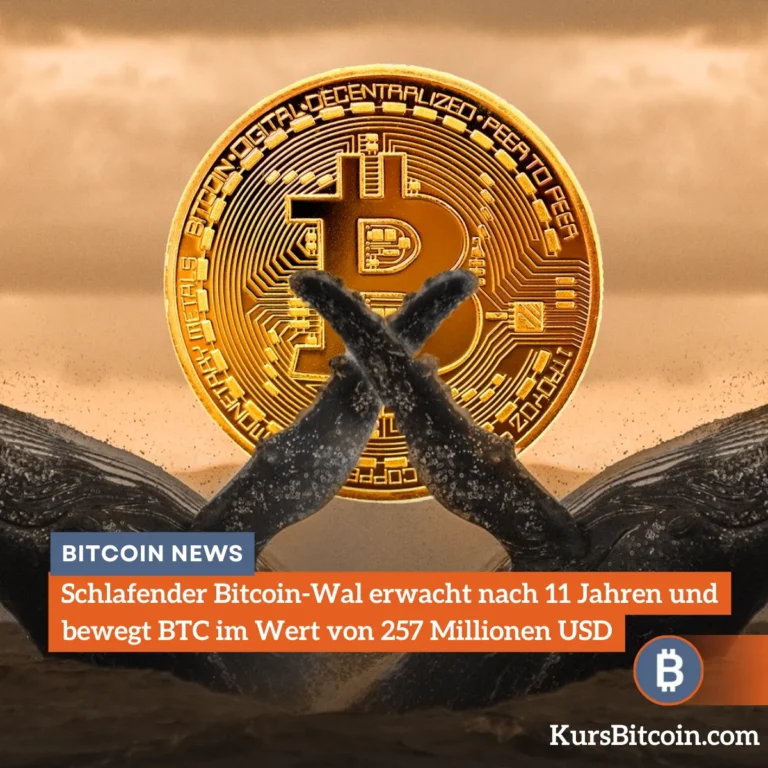 Schlafender Bitcoin-Wal erwacht nach 11 Jahren und bewegt BTC im Wert von 257 Millionen USD